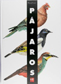 pajaros_m